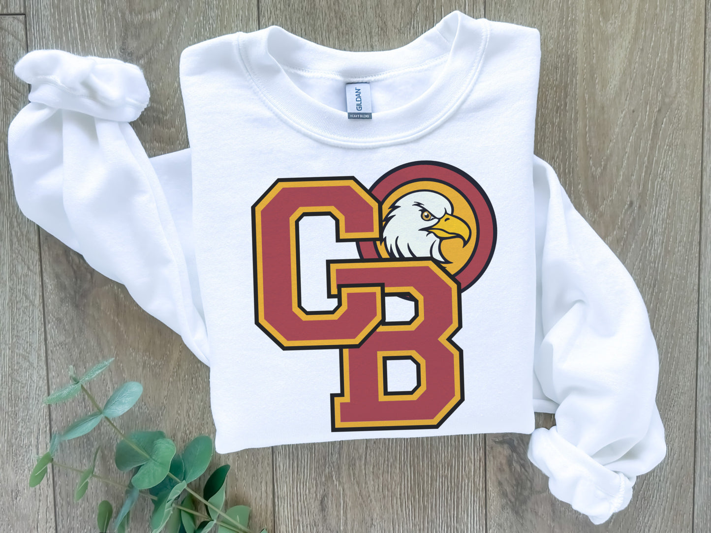 School Mascot/Logo