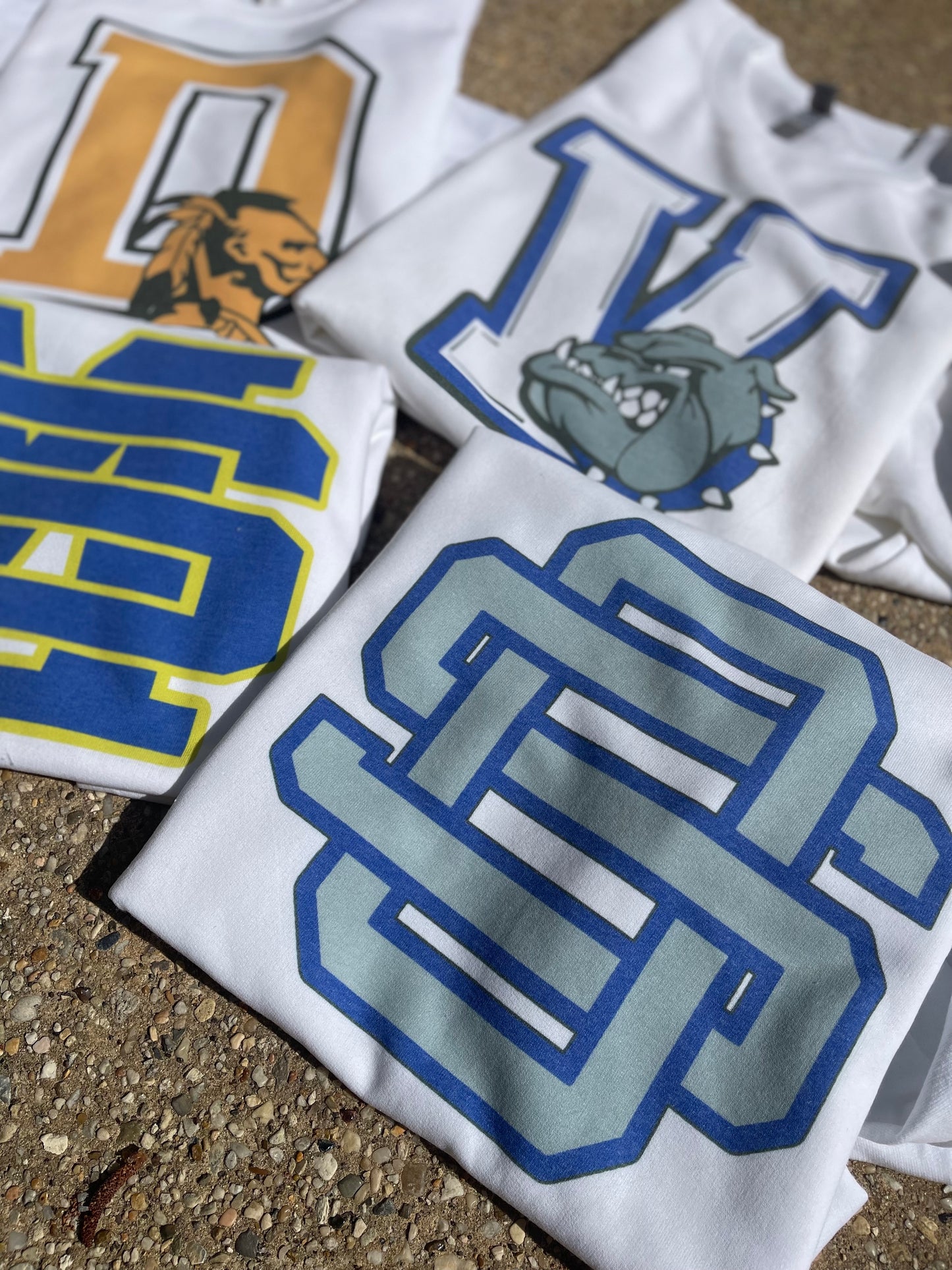 School Mascot/Logo