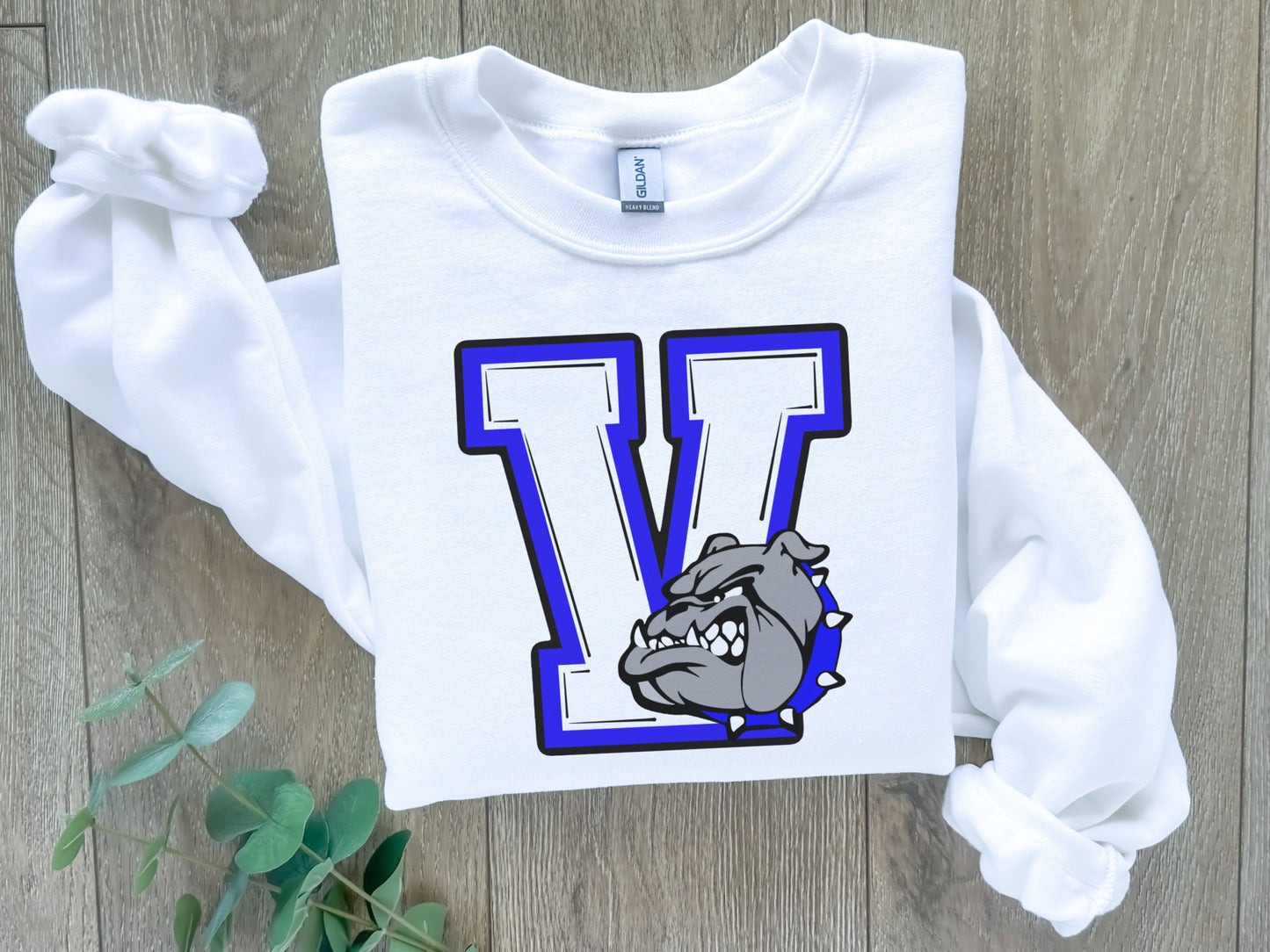 School Mascot/Logo