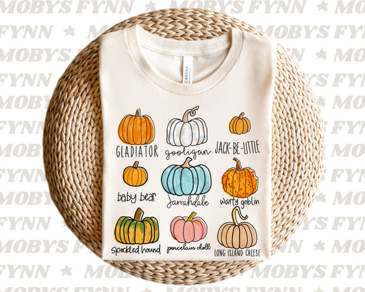 Oh My Gourd or Pumpkin Tee