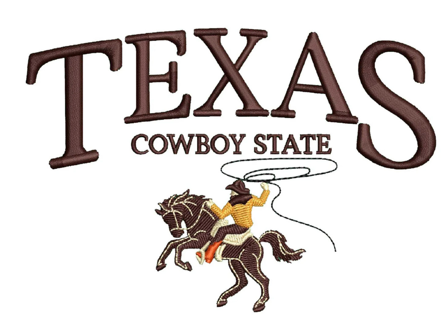 State Embroidered Sweatshirt Sale