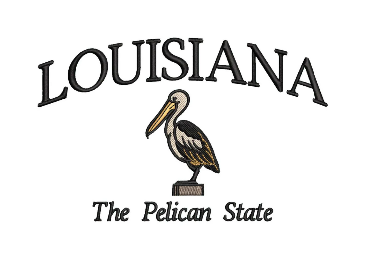 State Embroidered Sweatshirt Sale