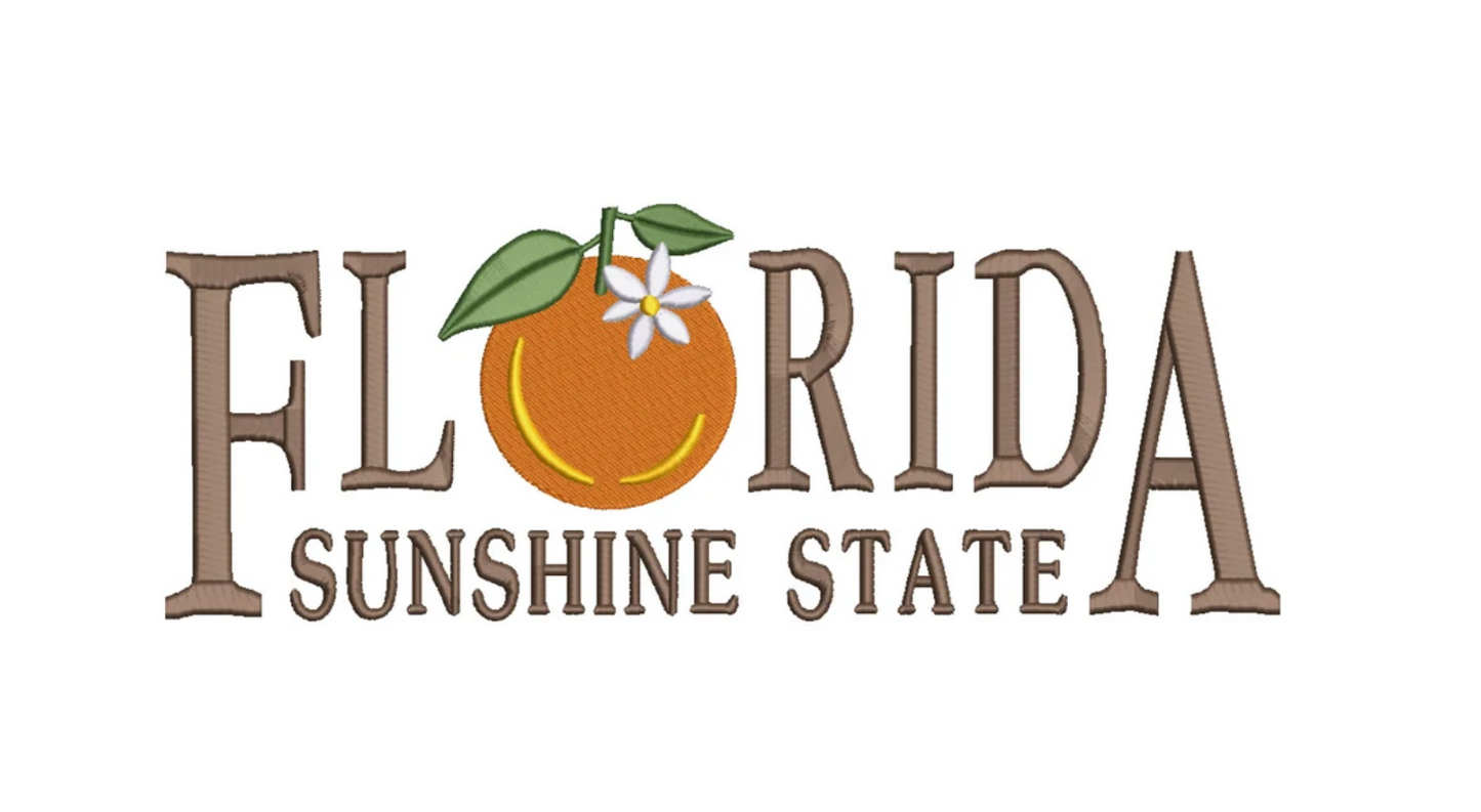 State Embroidered Sweatshirt Sale