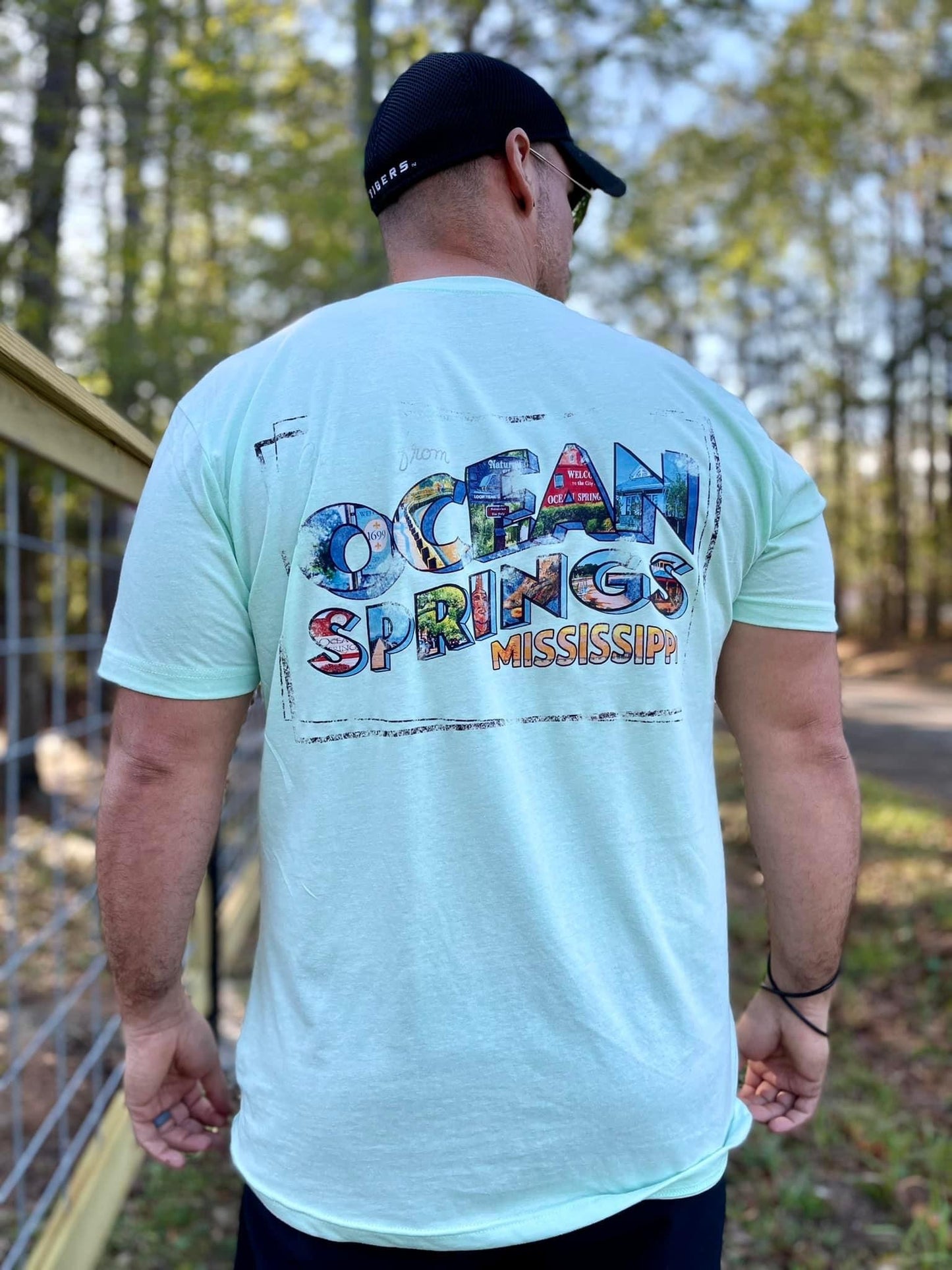 Ocean Springs Postcard