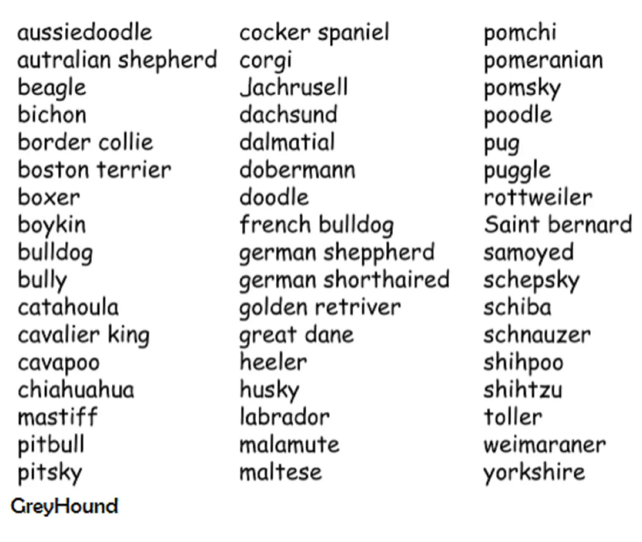 Dog Ear Embroidered (Pocket Size)