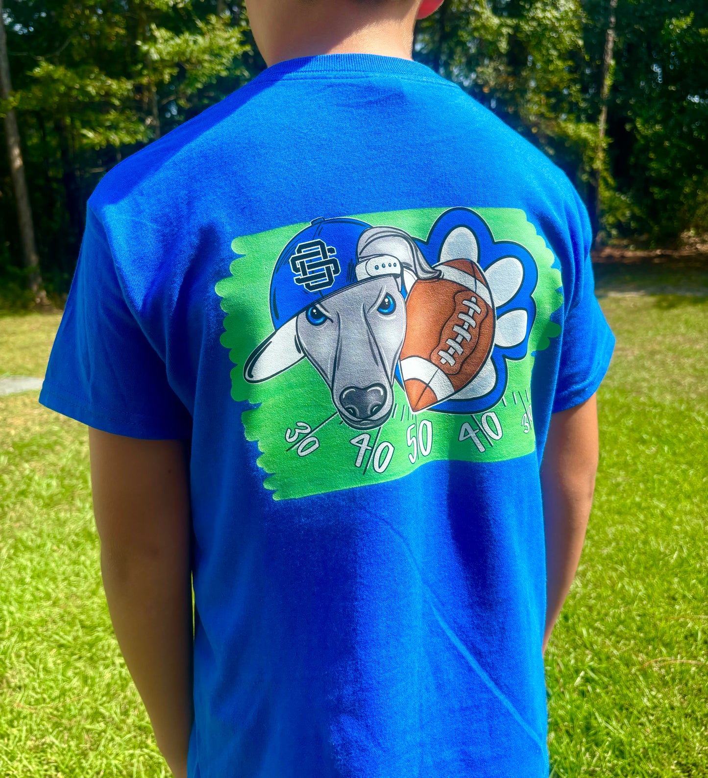 Mascot Football Field