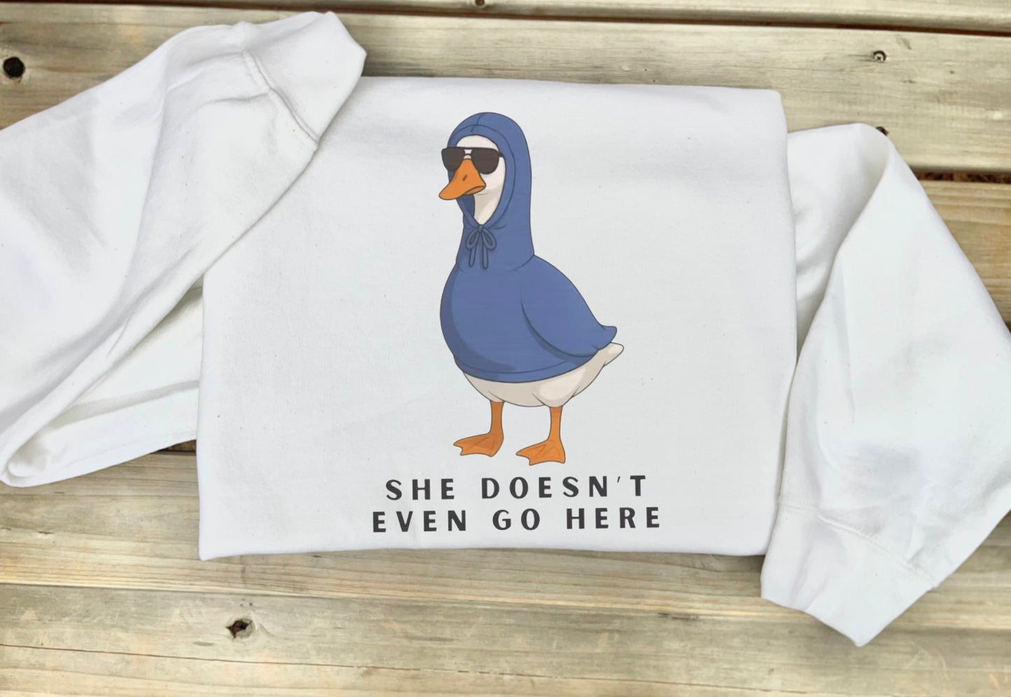 She Doesn't Even Go Here Goose