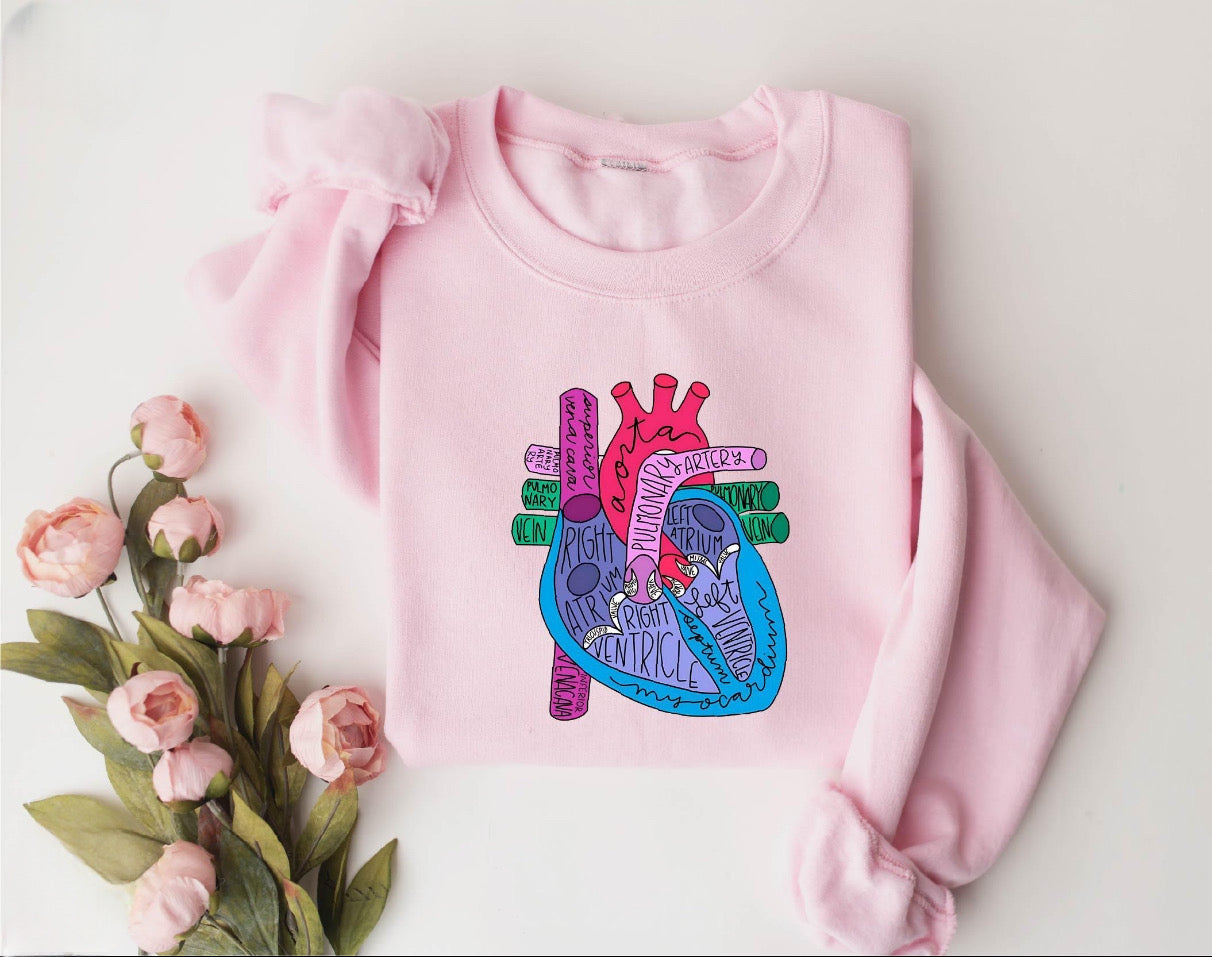 Heart Anatomy