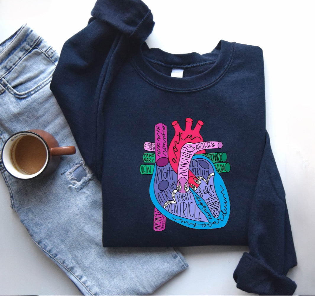 Heart Anatomy