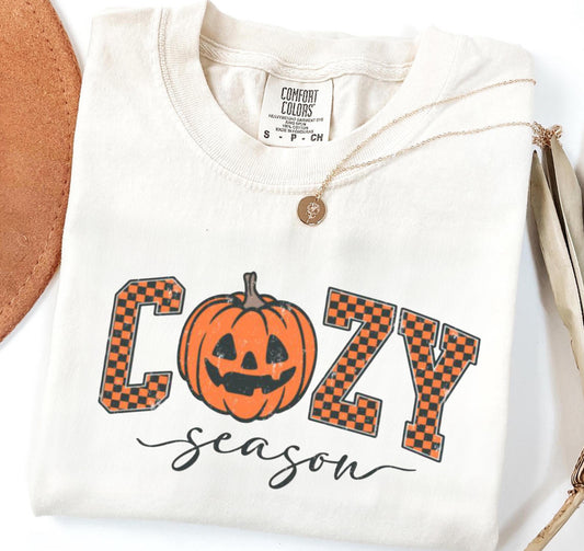Vintage Cozy Season Pumpkin