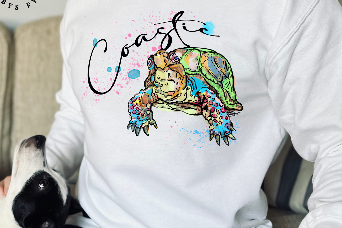 Coastie Turtle