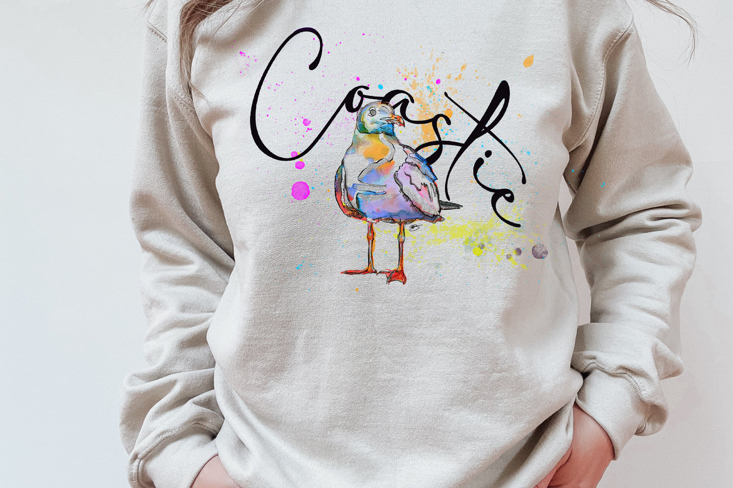 Coastie Seagull