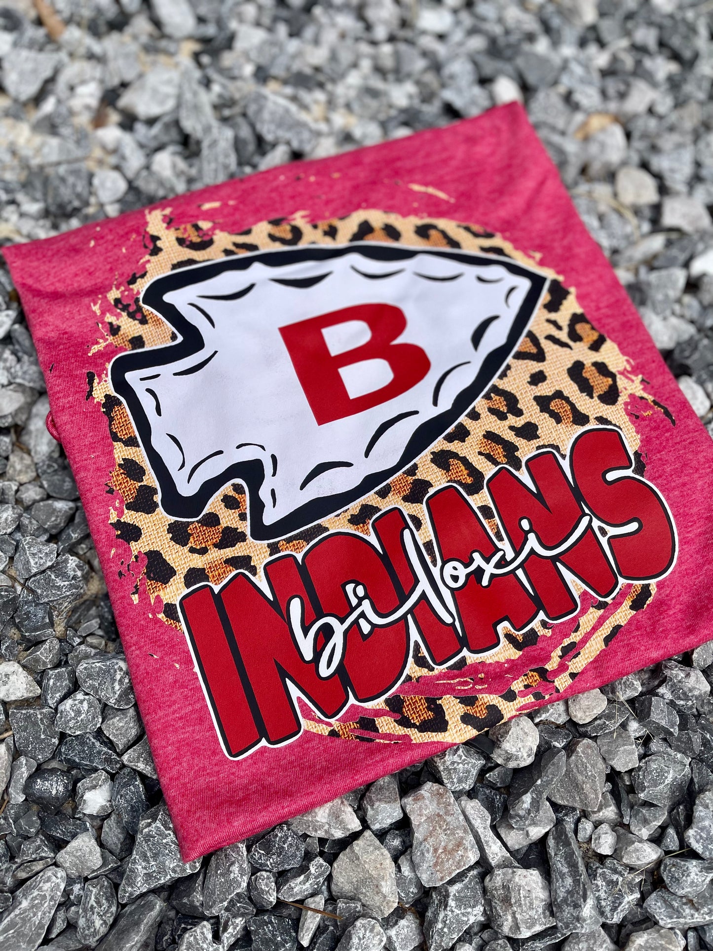 Biloxi Cheetah Circle